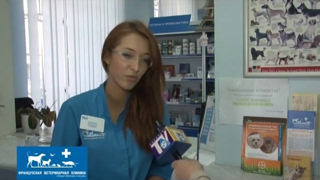 Французская ветеринарная клиника смотреть онлайн