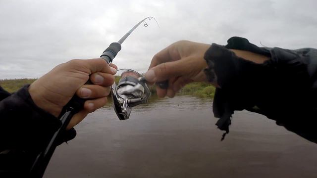 Сплав по Тверце. Осень. смотреть онлайн