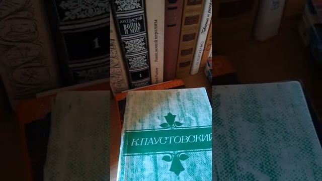Уборка книжного шкафа смотреть онлайн