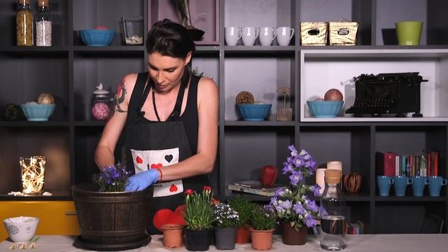 Домашна икебана - "Вдъхни живот" на цветята! смотреть онлайн