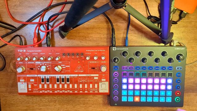 Behringer TD-3. Novation Circuit, MIDI Setup