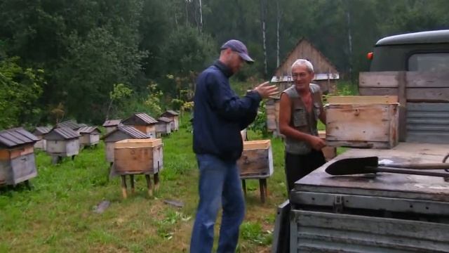 Копия видео Как Алексея укусила пчела