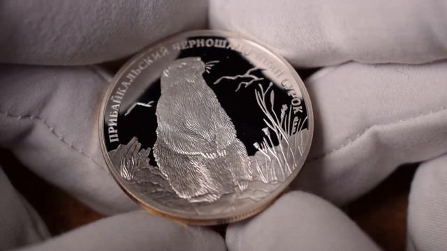 2 рубля 2008 - Прибайкальский черношапочный сурок. Красная книга России смотреть онлайн