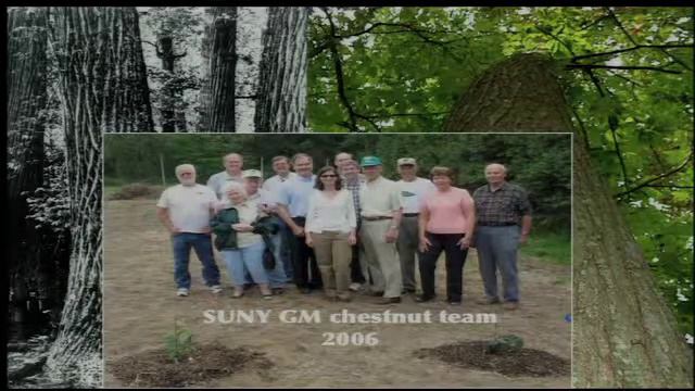 Green Ag Biotech смотреть онлайн