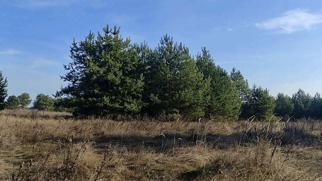 7 вещей, о которых нельзя никому рассказывать... смотреть онлайн