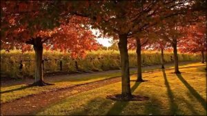 Сплин   Давайте делать паузы в словах 360p