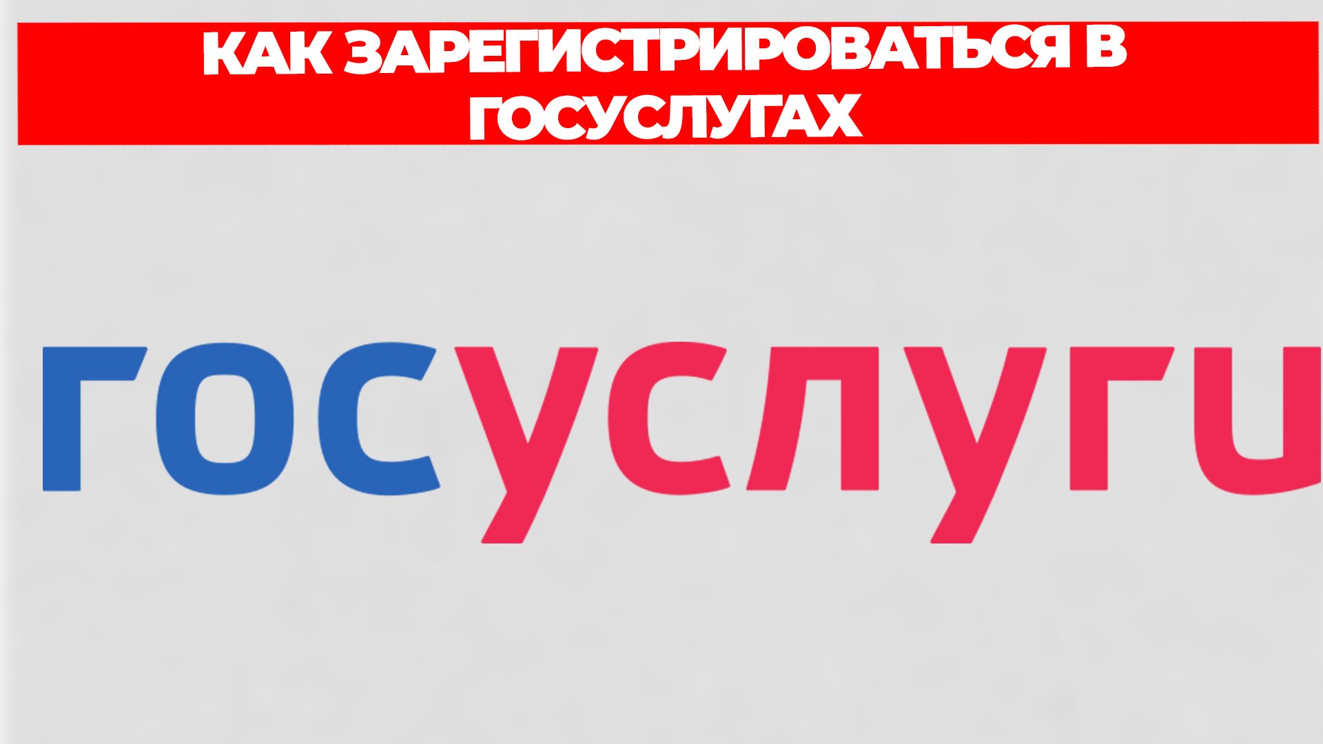 Всезнающий Енот