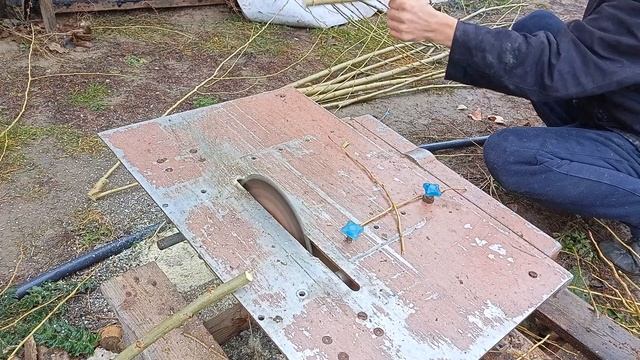 Черенки Тополя Пирамидального без Пуха.Производство.Продажа.Доставка ТК по всей стране. смотреть онлайн