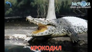 ЖИВОТНЫЕ МИРА. УЧИМ АНГЛИЙСКИЙ. ПЕРВЫЕ СЛОВА русс+англ