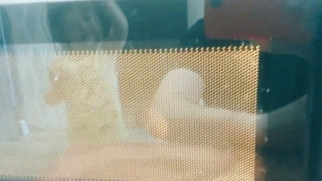 ЖЕСТЬ!!!Взорвали яйцо в микроволновке) смотреть онлайн