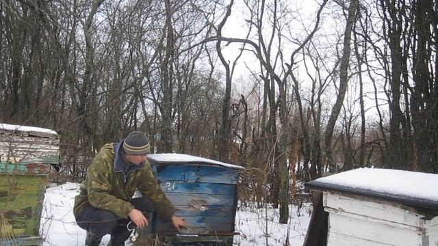 Советы по осмотру пасеки в зимнее время.Прослушивание пчелосемей фонендоскопом через летки. смотреть онлайн