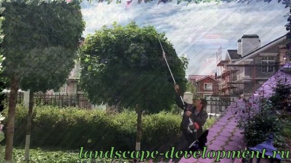 Ландшафтный дизайн и благоустройство территории landscape development