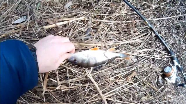 Последний день октября. Упа. Морозец смотреть онлайн