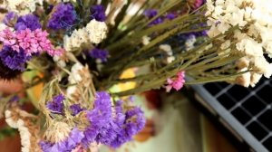 Обязательно посадите этот цветок у себя в саду! СТАТИЦЕ!