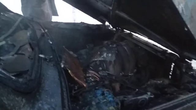 Сгорела нива в Нур-Султане смотреть онлайн