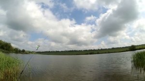 Ловля КАРАСЯ на ставке на ФИДЕР. GW apache navigators. Favorite sapphire 2500s