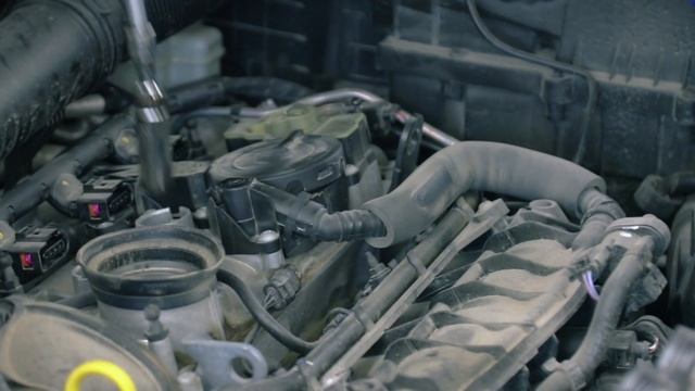 The Audi Kitchener-Waterloo Service Experience смотреть онлайн