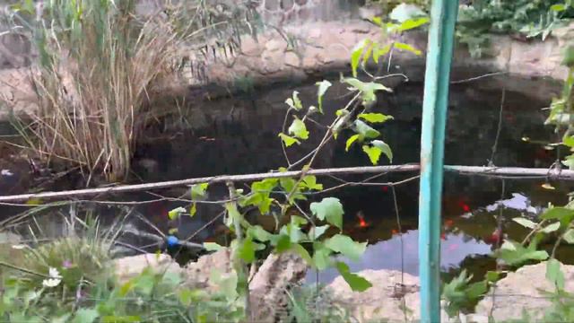 Этно парк «Нью Васюки» смотреть онлайн