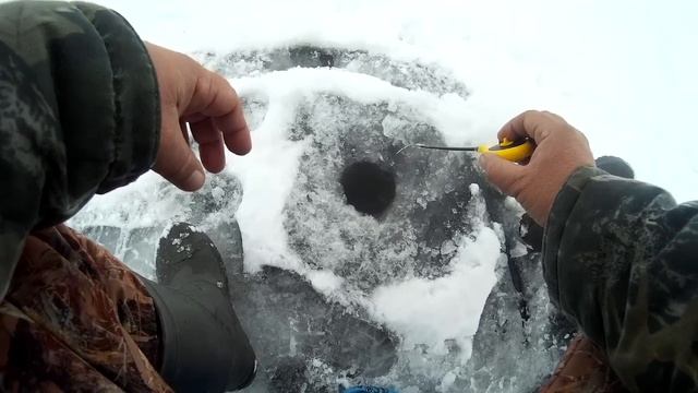 Кошачий глаз. Плотвичка и мордатые окуни. смотреть онлайн