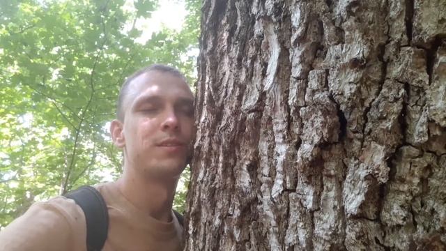 Магия Деревьев. Как наполнится силой. А. Глоба смотреть онлайн