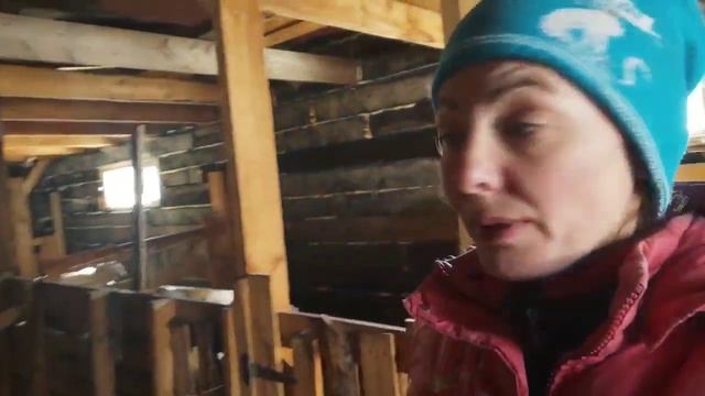 Козлята поели ,попили.Козлы красавцы и тупые.Готовлю мясо на ужин смотреть онлайн