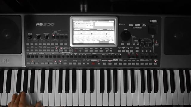 Музыкант красиво играет на КОРГ Стайл