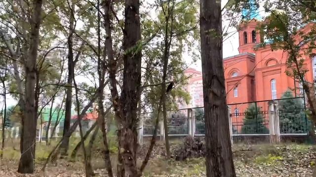 СПАСИБО ВАМ ДЕВОЧКИ ЗА ПОЗДРАВЛЕНИЯ И ОТЗЫВЫ! ПОКАЗЫВАЮ ШВАБРУ! смотреть онлайн