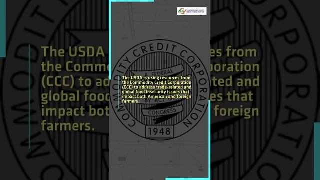USDA Unveils $2.3 Billion Fund To Support US Commodities And International Food Aid смотреть онлайн