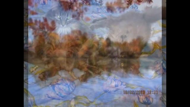Копия видео "Моя Кошачья Жизнь" смотреть онлайн