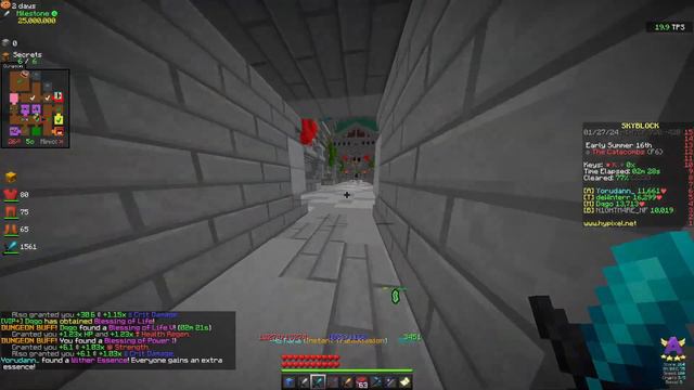 The Best Dungeon Profit Guide You Need! Hypixel Skyblock смотреть онлайн