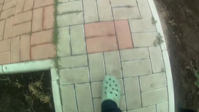 Vlog#3 поездка на дачу! Съёмки в тик ток... готовим шашлык смотреть онлайн