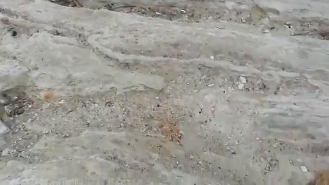 Мангыстау. Древний океан Тетис. Каспийское море. смотреть онлайн