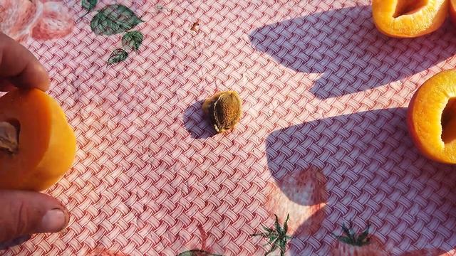 Абрикос Голд річ і Перла. смотреть онлайн