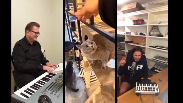 Roman Key X Alugalug Cat X The Kiffness смотреть онлайн