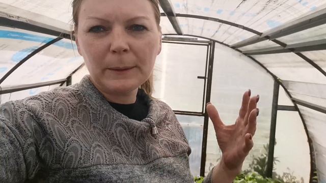 ?Купили дачу 15 серия/✅что замёрзло/✅капуста и руккола... смотреть онлайн