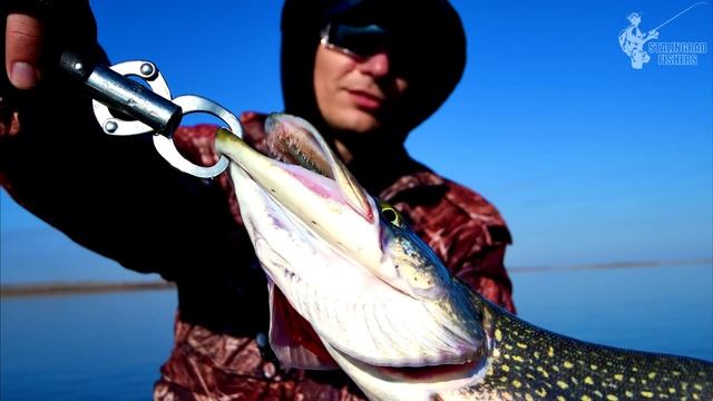 Такой разный хищник или открытие лодочного сезона на Волге - 02.04.2017 смотреть онлайн