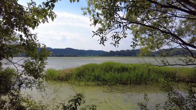 Пейзаж с рекой, интересный вид смотреть онлайн