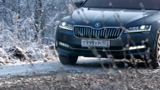 SKODA SUPERB 2020 смотреть онлайн