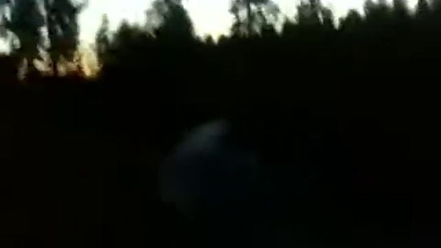 Crazy sh*t! The flying squirrel!!! смотреть онлайн