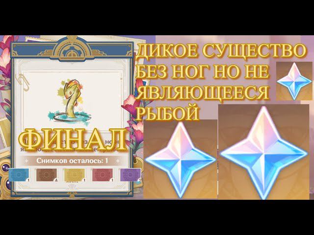 УСПЕЙ! ДИКОЕ СУЩЕСТВО БЕЗ НОГ НО НЕ ЯВЛЯЮЩЕЕСЯ РЫБОЙ ПОСЛЕДНИЙ ШАНС【Genshin Impact】【Геншин Импакт】 смотреть онлайн