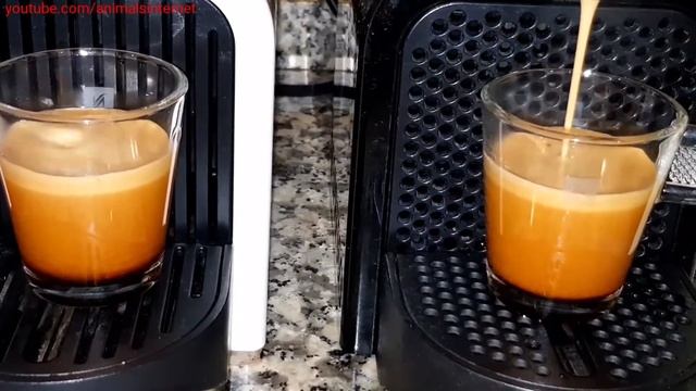 Nespresso Delonghi Inissia vs. Nespresso Krups Inissia: duel after reset смотреть онлайн