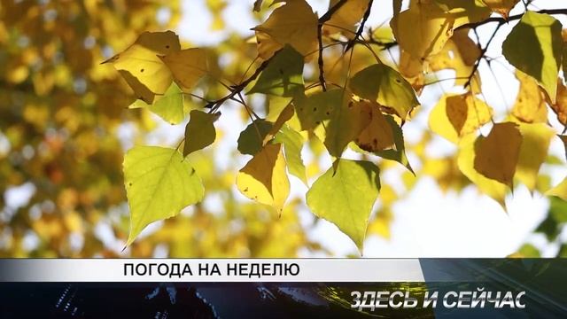 ПОГОДА НА НЕДЕЛЮ смотреть онлайн