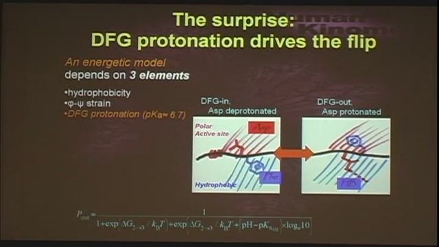 DFG motif: A Protonation Dependent Conformational Switch смотреть онлайн