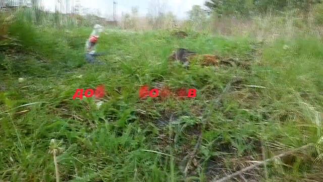 Кока Кола +ментос =ракета. Coca Cola + Mentos=ROCKET смотреть онлайн