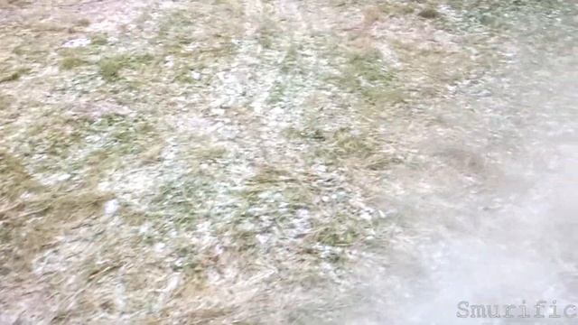 1983 VW Passat B2 - Cold Start