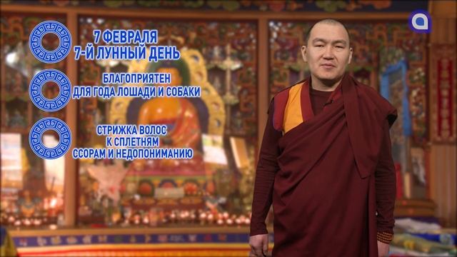 ЛОШАДИ И СОБАКИ СЕГОДНЯ УДАЧЛИВЫ смотреть онлайн