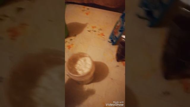 Приготовление протеина. Не дорого и быстро! смотреть онлайн