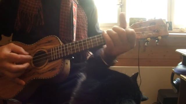 Louis Collins / Will the Circle be Unbroken - Ukulele смотреть онлайн