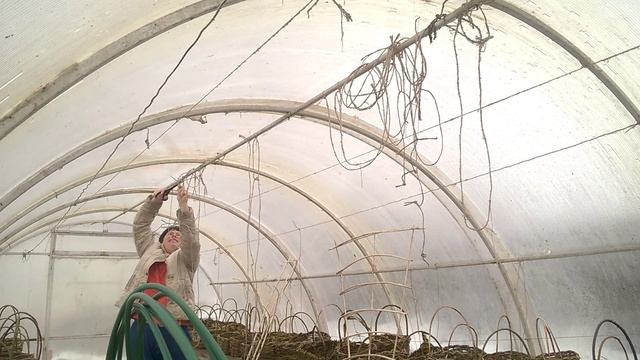 МОИ КОРЗИНЫ. ПОДГОТОВКА ТЕПЛИЦЫ К РАССАДЕ. смотреть онлайн