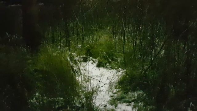 Фонарь с ДРЛ ожил спустя 2 года и дребезжит) смотреть онлайн